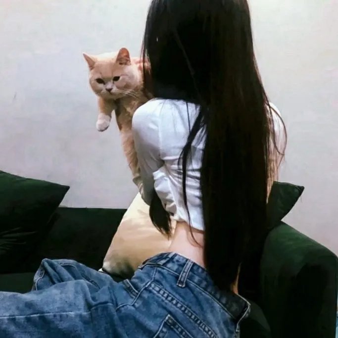 猫狗大战3：爪爪集结！